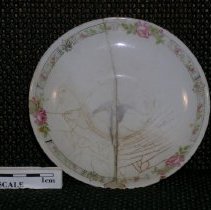 Saucer