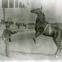 Saul Lemery with Show Horse