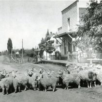 Main Street of St. Paul, c. 1906