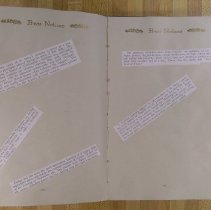 Agnes Murphy's Yearbook "The Girl Graduate", 1912