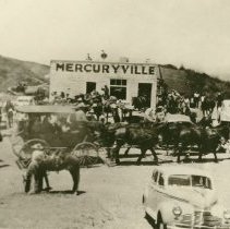 Mercuryville General Store