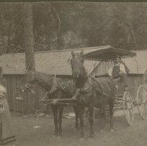 Horse-Drawn Cart
