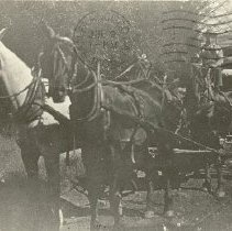 William Cummings driving stage to Socrates Mine 1906