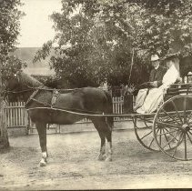 Horse and Carriage with Couple