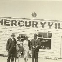 Mercuryville Gas Station, General Store