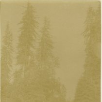 Elinor Litton's Farm