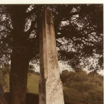 Cyrus Alexander Tombstone