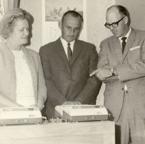 Zip & Quinto Barbieri