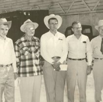 Hereford Bull Judges