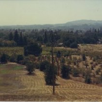 The Greens Subdivision