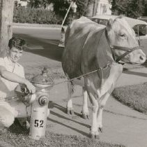 Young Man with Cow