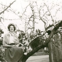 Miss Healdsburg Contestant Elizabeth Markusson