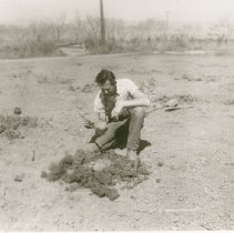 Bill Wallace Inspecting Grapevine