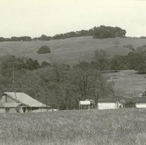 12870 Los Amigos Road