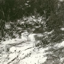 Lytton Station Sulphur Spring