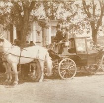 Alice Haigh Preparing for Floral Festival