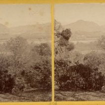 stereograph