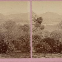 stereograph