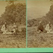 stereograph