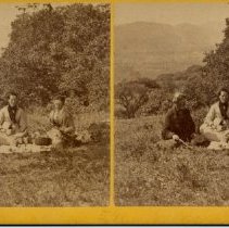 stereograph