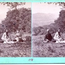 stereograph