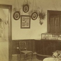 stereograph