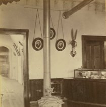 stereograph