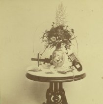 stereograph