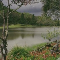 George Greeot's Pond