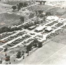 Sauers Forest Products