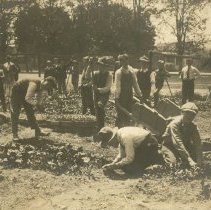 Healdsburg School Garden
