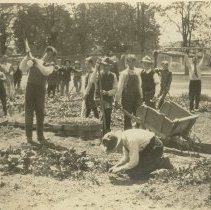 Healdsburg School Garden