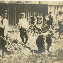 Healdsburg School Garden