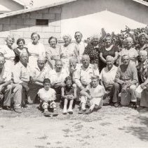 Family Reunion of Zanzi's