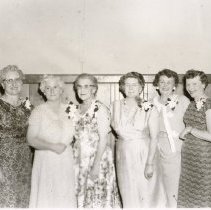 Soroptomist Officers Installed