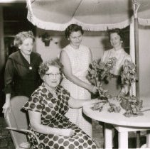 Healdsburg Garden Club Plans for Upcoming Luncheon