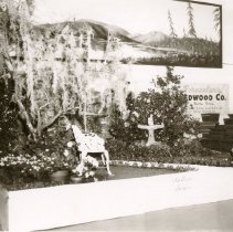 Healdsburg Garden Club Display at Cloverdale Citrus Fair