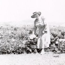 Healdsburg Garden Club 1951 Tour