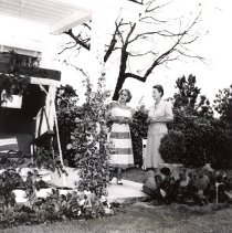 Healdsburg Garden Club 1951 Tour