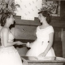 Rainbow Girls Install New Officers