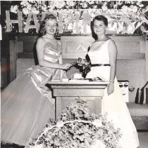 Rainbow Girls Install New Officers