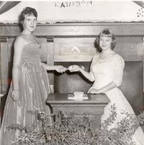 Rainbow Girls Install New Officers