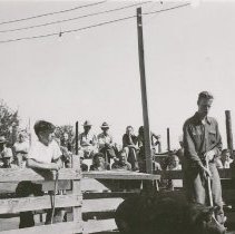 Showing Swine at Fair