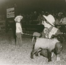 Leoni Sisters with Lambs for Auction