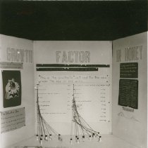 Science Exhibit at Fair
