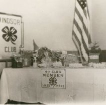 1956 4-H Week Celebrated