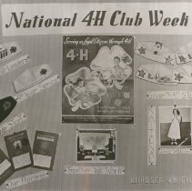 Windsor 4-H Club National 4-H Club Week Display