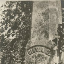Gravestone of Silvia G. Fields