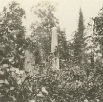 Fields Family Plot at Oakmound Cemetery
