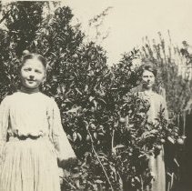 Mabel Bell at Orange Tree